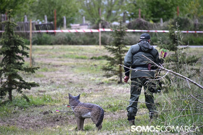 somoscomarca_20250510_arua_oaguillon_campeonato_3dtiroconarco (29)
