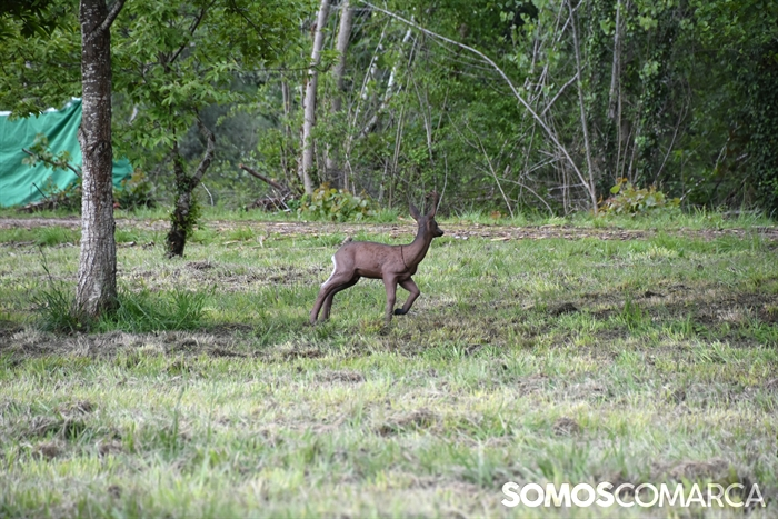 somoscomarca_20250510_arua_oaguillon_campeonato_3dtiroconarco (31)