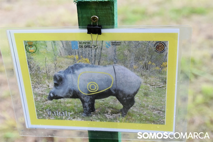 somoscomarca_20250510_arua_oaguillon_campeonato_3dtiroconarco (1)