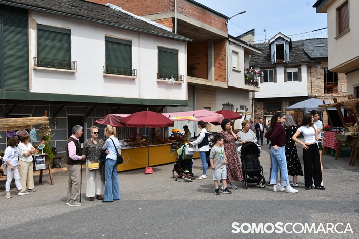 somoscomarca_20250517_corgomo_letrasgalegas_florenciada (28)