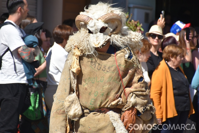 somoscomarca_20250517_vianadobolo_vibomask (5)