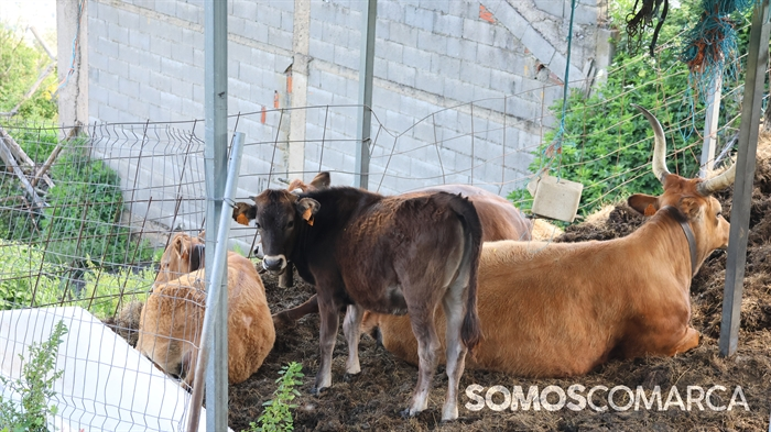 somoscomarca_caminodeespaña_sampaio_correxais (20)