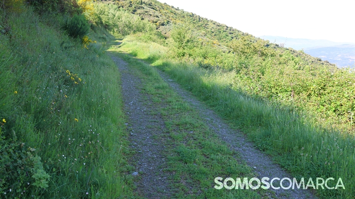somoscomarca_caminodeespaña_sampaio_correxais (29)