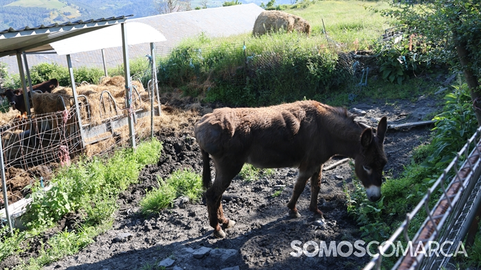 somoscomarca_caminodeespaña_sampaio_correxais (49)