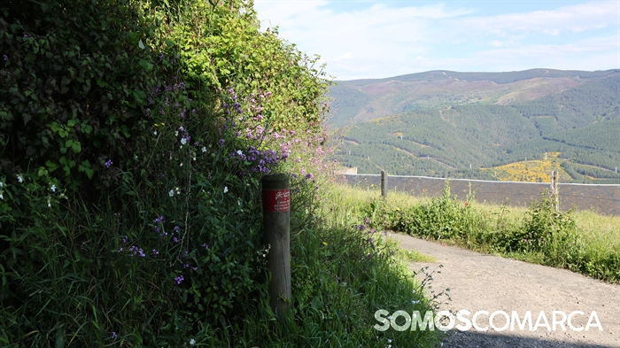 somoscomarca_caminodeespaña_sampaio_correxais (51)