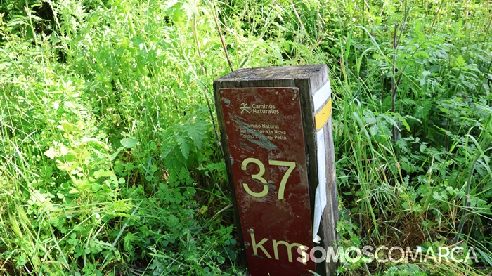 somoscomarca_caminodeespaña_sampaio_correxais (59)