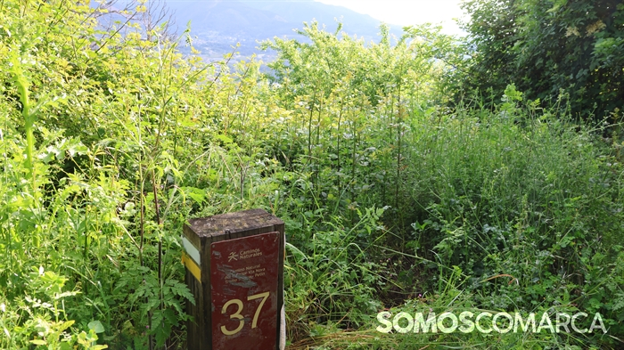 somoscomarca_caminodeespaña_sampaio_correxais (64)