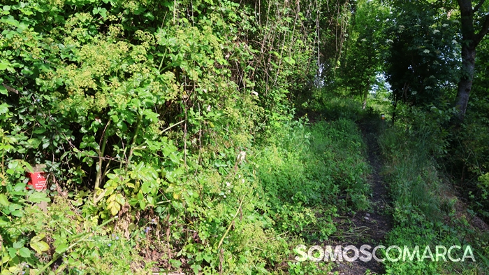 somoscomarca_caminodeespaña_sampaio_correxais (65)