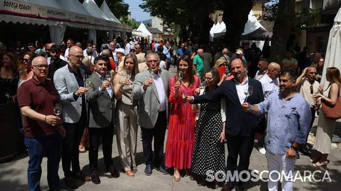 somoscomarca_obarco_feiradoviñodevaldeorras (54)