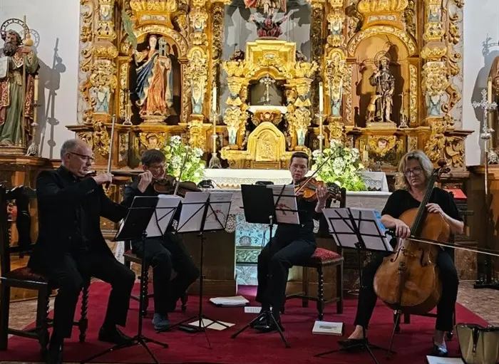 somoscomarca_petin_grupominuetto_violin_instrumentosdecuerda