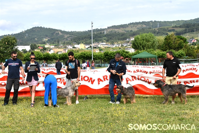 somoscomarca_20250614_arua_oaguillon_concursocanino_perros (3)