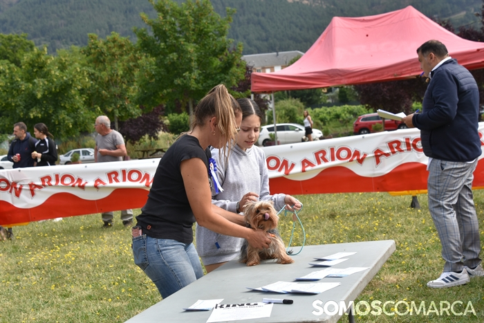 somoscomarca_20250614_arua_oaguillon_concursocanino_perros (6)