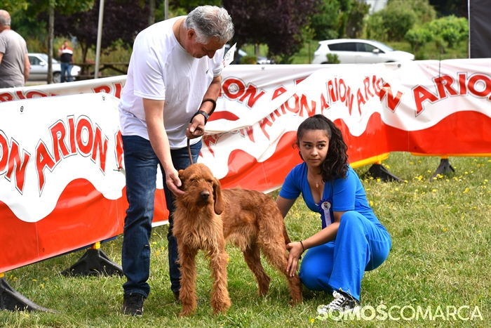 somoscomarca_20250614_arua_oaguillon_concursocanino_perros (8)