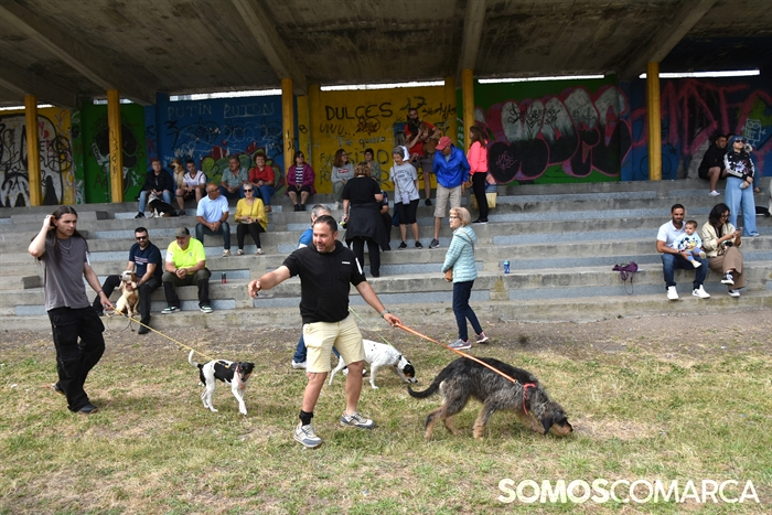 somoscomarca_20250614_arua_oaguillon_concursocanino_perros (12)