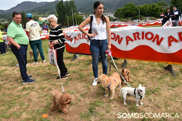 somoscomarca_20250614_arua_oaguillon_concursocanino_perros (13)