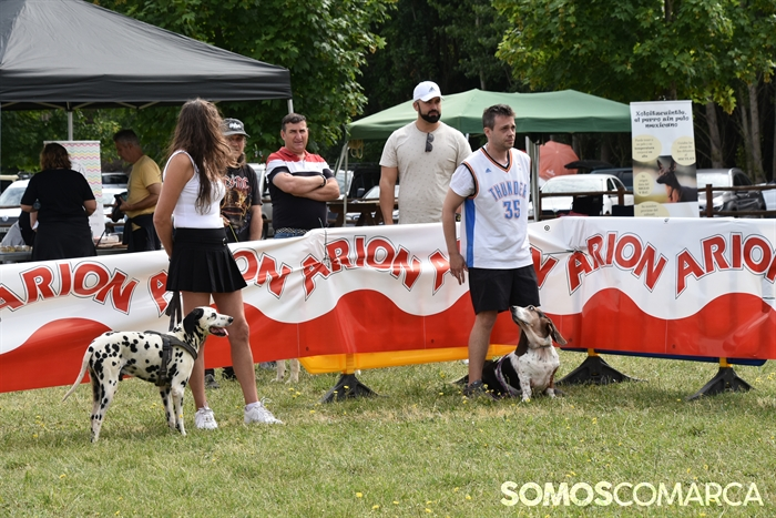 somoscomarca_20250614_arua_oaguillon_concursocanino_perros (14)