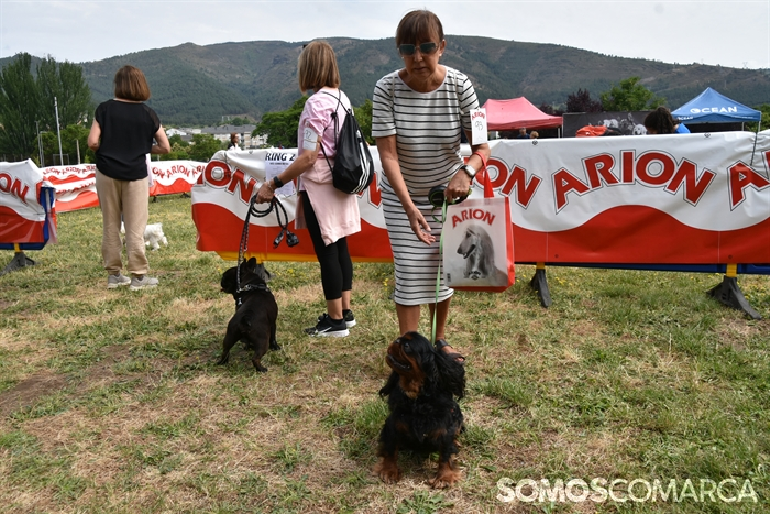 somoscomarca_20250614_arua_oaguillon_concursocanino_perros (16)