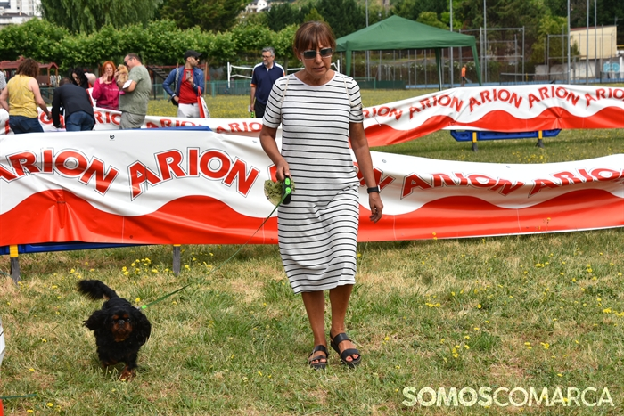 somoscomarca_20250614_arua_oaguillon_concursocanino_perros (19)