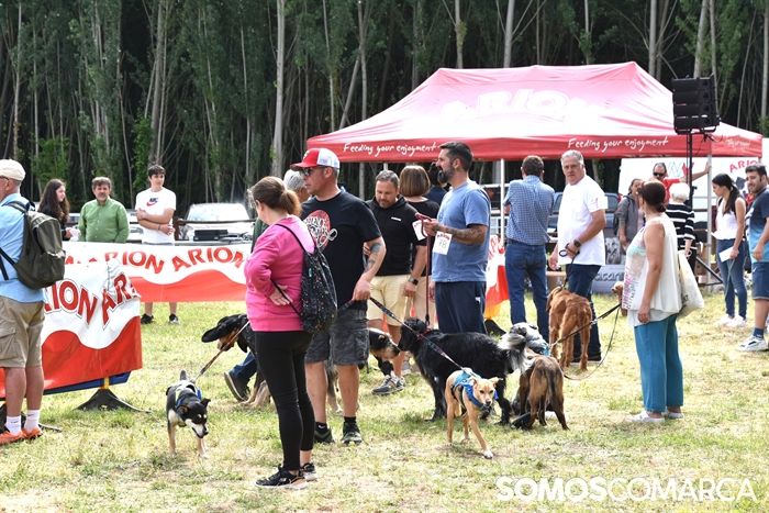 somoscomarca_20250614_arua_oaguillon_concursocanino_perros (20)