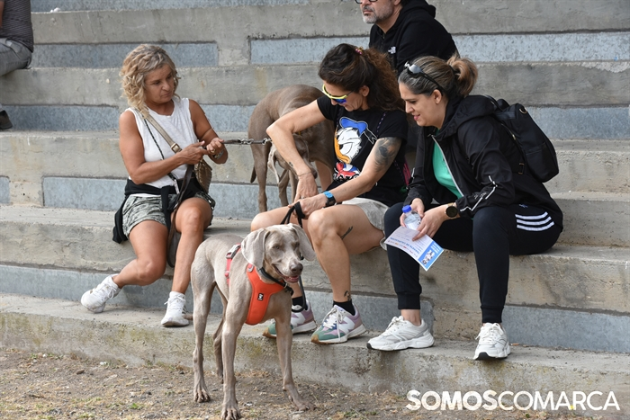 somoscomarca_20250614_arua_oaguillon_concursocanino_perros (21)