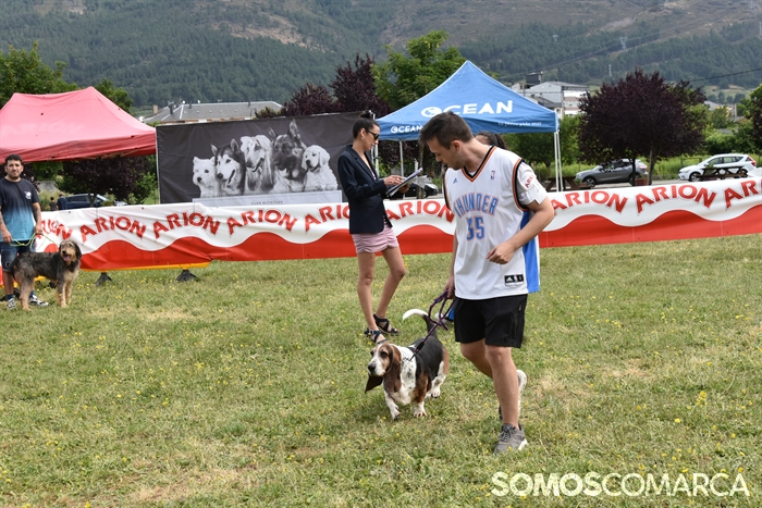 somoscomarca_20250614_arua_oaguillon_concursocanino_perros (22)