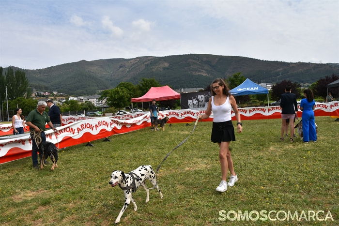 somoscomarca_20250614_arua_oaguillon_concursocanino_perros (23)