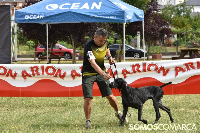 somoscomarca_20250614_arua_oaguillon_concursocanino_perros (24)