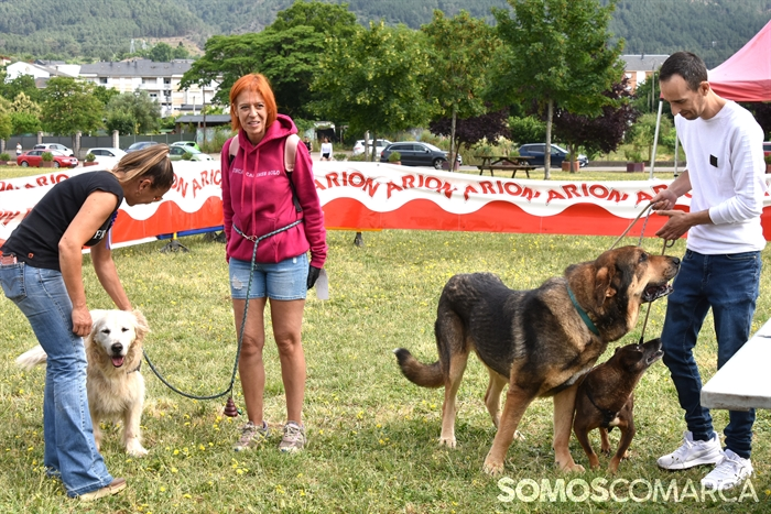 p_somoscomarca_20250614_arua_oaguillon_concursocanino_perros (25)