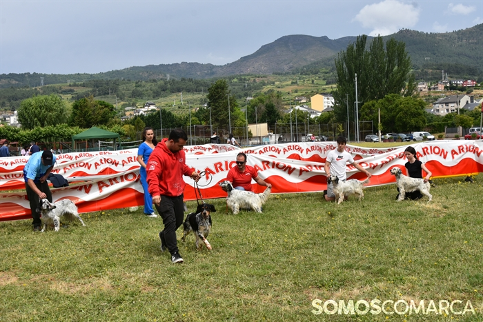 somoscomarca_20250614_arua_oaguillon_concursocanino_perros (28)