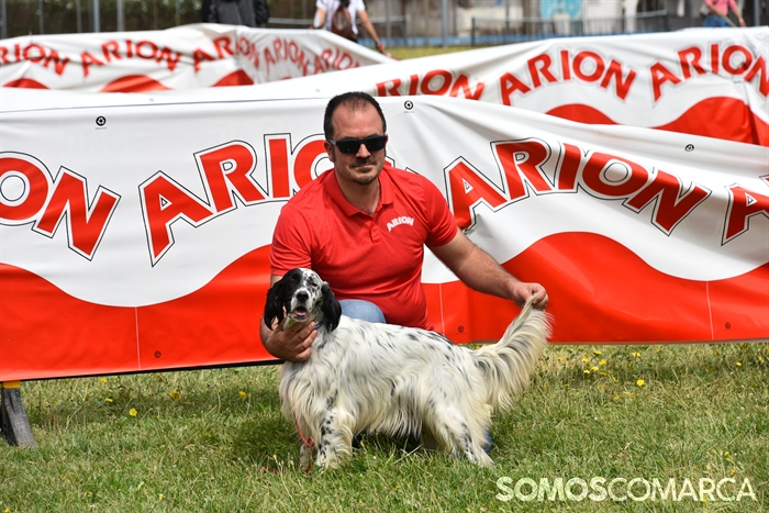 somoscomarca_20250614_arua_oaguillon_concursocanino_perros (33)