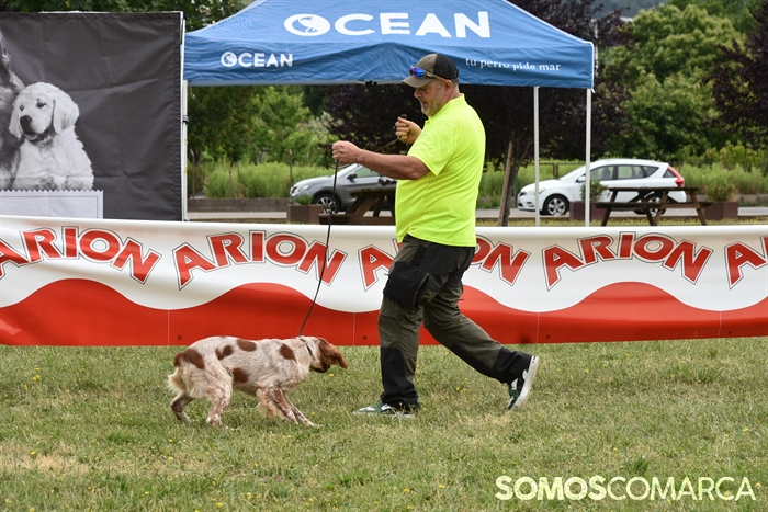 somoscomarca_20250614_arua_oaguillon_concursocanino_perros (35)
