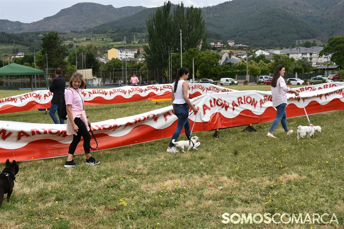 somoscomarca_20250614_arua_oaguillon_concursocanino_perros (37)