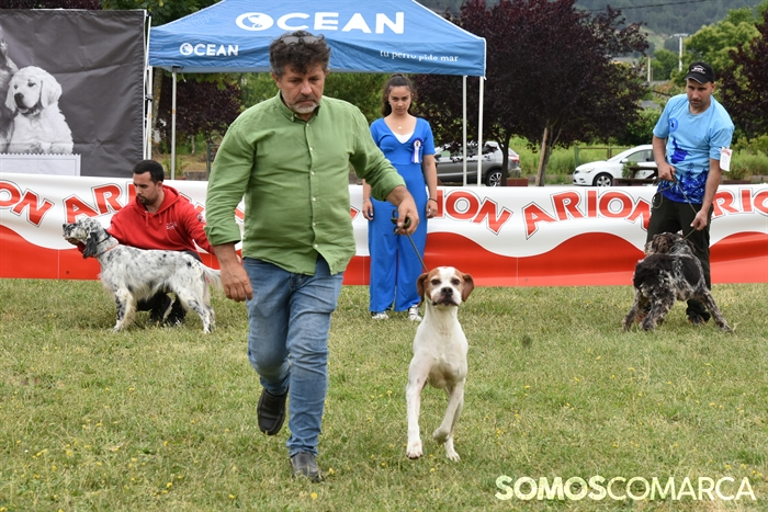 somoscomarca_20250614_arua_oaguillon_concursocanino_perros (41)