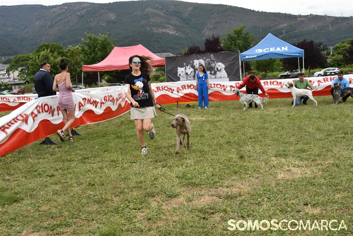 p_somoscomarca_20250614_arua_oaguillon_concursocanino_perros (43)