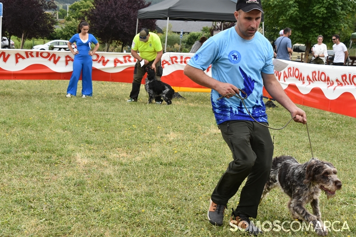 somoscomarca_20250614_arua_oaguillon_concursocanino_perros (46)