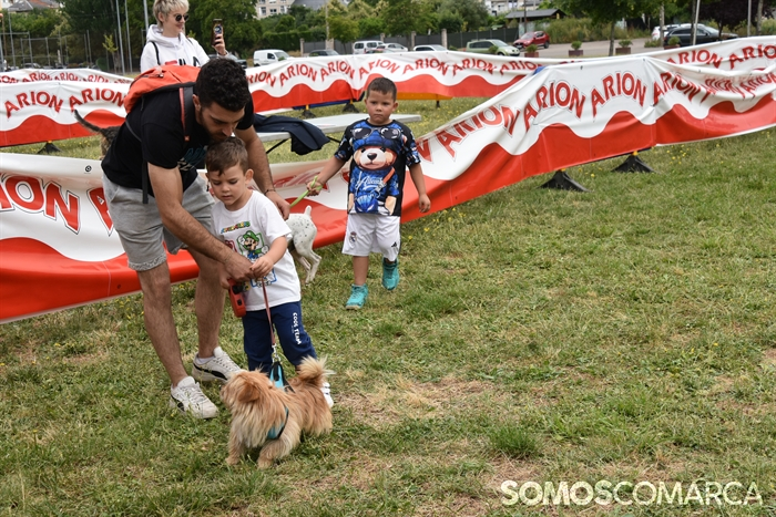 somoscomarca_20250614_arua_oaguillon_concursocanino_perros (47)
