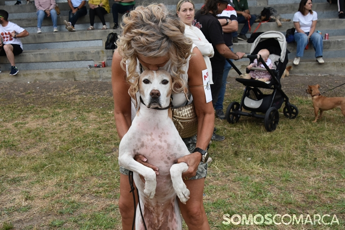 somoscomarca_20250614_arua_oaguillon_concursocanino_perros (49)