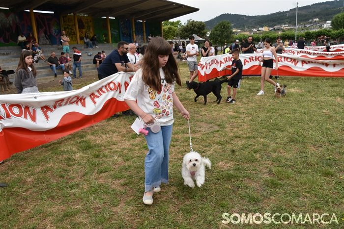 somoscomarca_20250614_arua_oaguillon_concursocanino_perros (50)