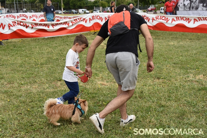 somoscomarca_20250614_arua_oaguillon_concursocanino_perros (52)