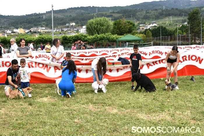 somoscomarca_20250614_arua_oaguillon_concursocanino_perros (53)