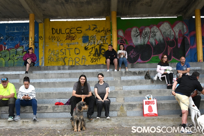 somoscomarca_20250614_arua_oaguillon_concursocanino_perros (57)