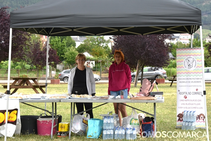 somoscomarca_20250614_arua_oaguillon_concursocanino_perros (59)