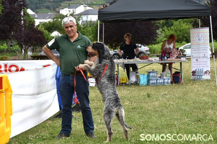 somoscomarca_20250614_arua_oaguillon_concursocanino_perros (60)