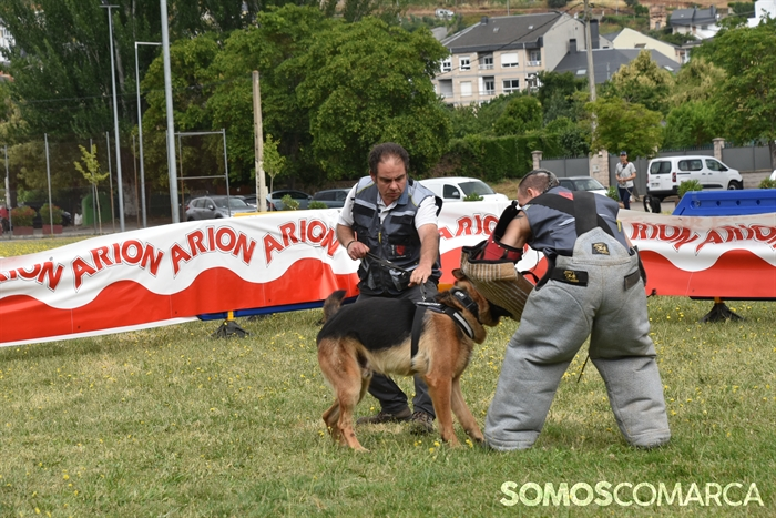 somoscomarca_20250614_arua_oaguillon_concursocanino_perros (63)