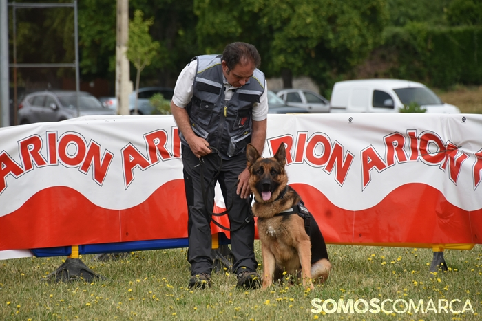 somoscomarca_20250614_arua_oaguillon_concursocanino_perros (64)