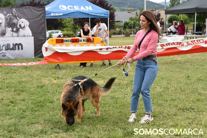 somoscomarca_20250614_arua_oaguillon_concursocanino_perros (69)