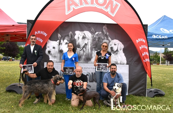 somoscomarca_20250614_arua_oaguillon_concursocanino_perros (72)