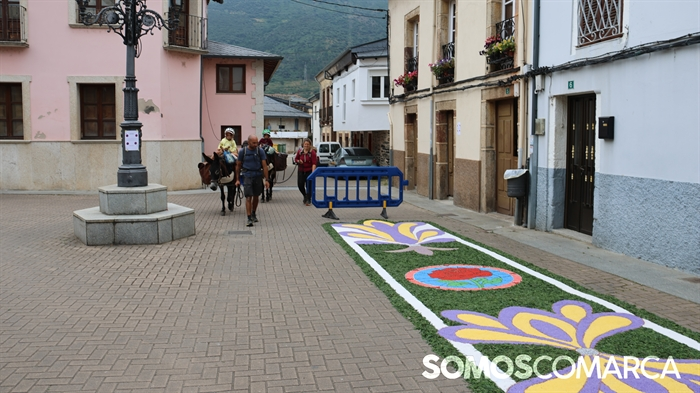 somoscomarca_arua_obarco_alfombrascorpus_1710 (16)