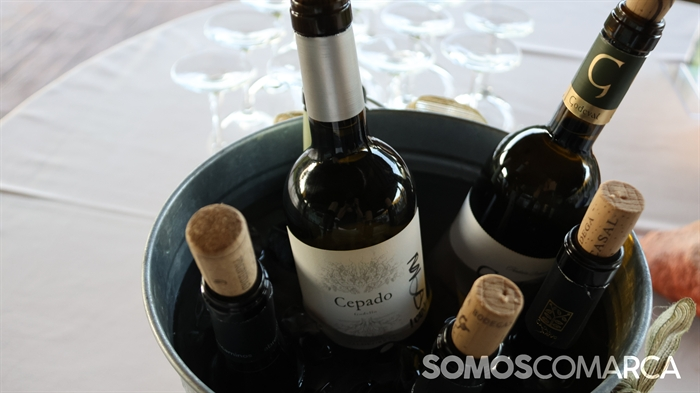 somoscomarca_paladium_catavinovaldeorras1904