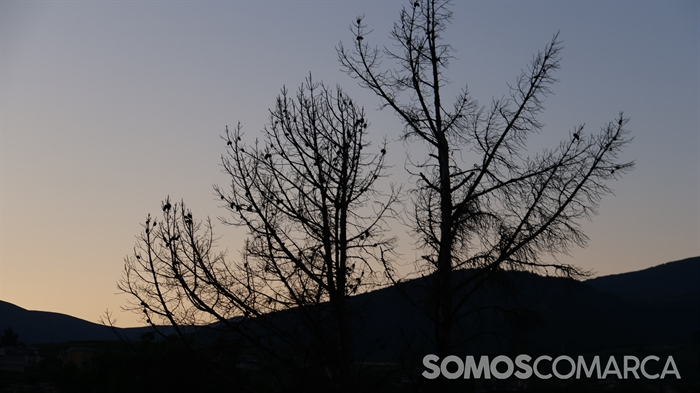 somoscomarca_paladium_catavinovaldeorras1934